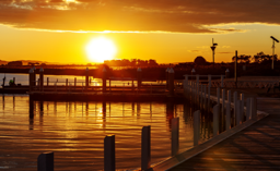A Way Forward for Wyndham: Advocacy for What Matters
