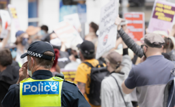 Why social cohesion is crucial for a functioning society